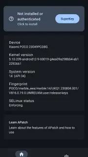 APatch Screenshot 9