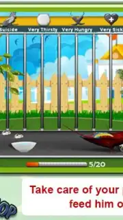 Parrot Pet Shop Screenshot 3