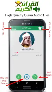 Audio Quran Screenshot 2