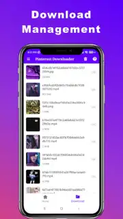 Downloader for Pinterest Screenshot 2