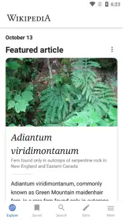 Wikipedia Screenshot 5