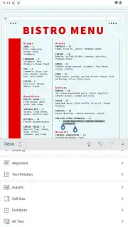 Microsoft Word Screenshot 5