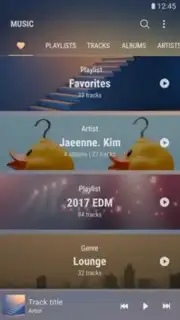 Samsung Music Screenshot 2