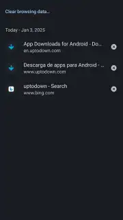 Kiwi Browser Screenshot 4