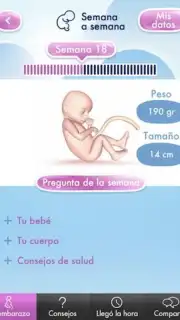 Mi Embarazo Screenshot 4