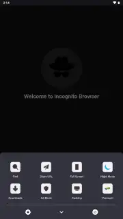 Private Browser Screenshot 1