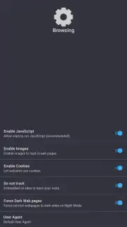 Private Browser Screenshot 16
