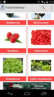 Food Dictionary Screenshot 4