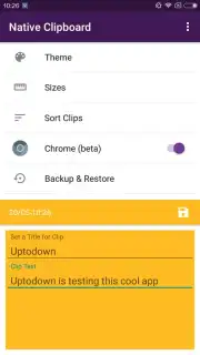 Native Clipboard Screenshot 3