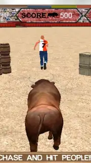 Angry Bull Attack Arena Sim 3D Screenshot 14