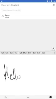 Google Translate Screenshot 4