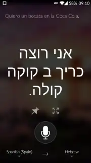 Microsoft Translator Screenshot 2