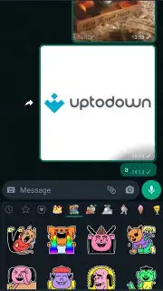 WhatsApp Messenger Screenshot 9