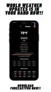 ForecastPro Screenshot 3