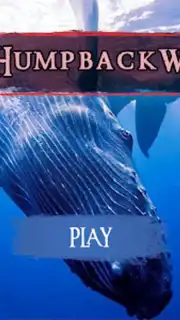 The Humpback Whales Screenshot 4