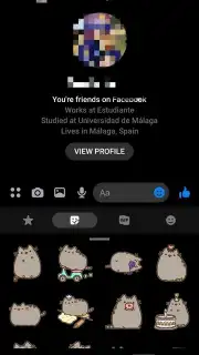 Messenger Screenshot 9