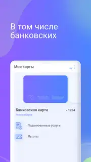 Транспортная карта Screenshot 1