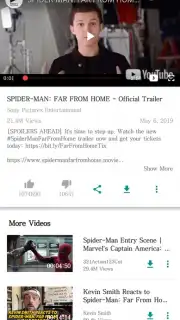 VidPaw App Screenshot 2