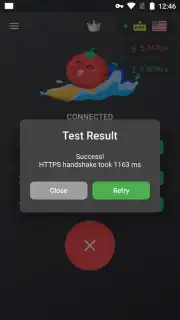 VPN Tomato Screenshot 2