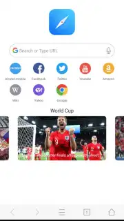 Mini Private Browser: Fast Search, Download, No Ad Screenshot 7
