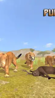 Puma Survival Screenshot 6
