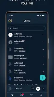 LANDR Screenshot 6