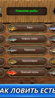 Рыбный дождь Screenshot 1