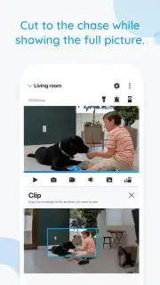 Reolink Screenshot 4