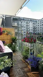 Garden Design Ideas Screenshot 2
