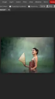 Photopea Screenshot 4