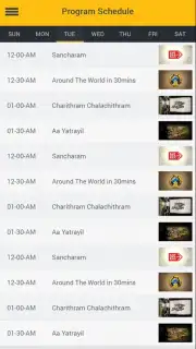 Safari Screenshot 2