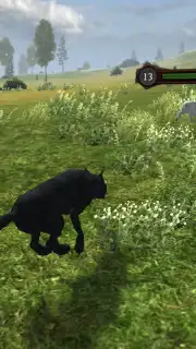 Wild Life: Wolf Clan Screenshot 12