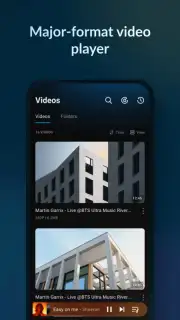 Lark Player - MP3 Music Player Screenshot 6