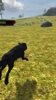 Wild Life: Wolf Clan Screenshot 8