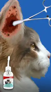 Cat ASMR: Salon Makeover Screenshot 6
