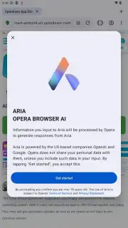 Opera Browser Screenshot 22