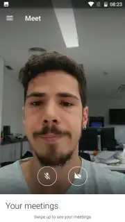 Google Meet (Original) Screenshot 6