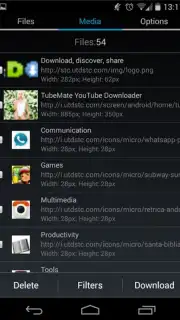 GetThemAll Any File Downloader Screenshot 2