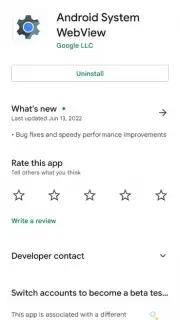 Android System WebView Screenshot 15