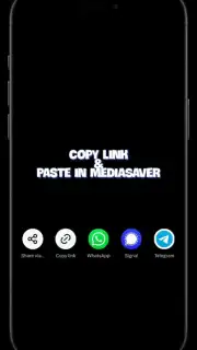 Media Saver Screenshot 1