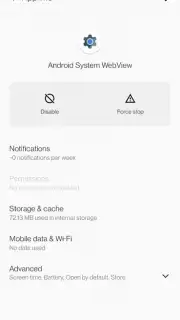 Android System WebView Screenshot 11