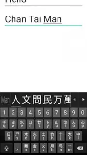 Mixed Chinese Keyboard Plus Screenshot 5