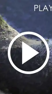 HD Video Downloader Free Screenshot 2