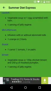 Summer Diet Express Screenshot 2