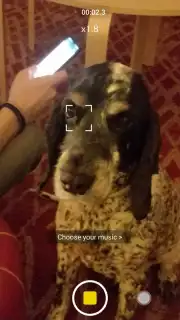 V Camera Screenshot 7
