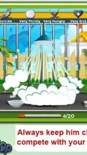Parrot Pet Shop Screenshot 11