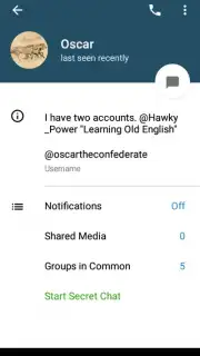 Via Messenger - Unofficial Telegram App Screenshot 18