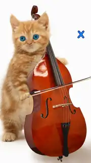Talking, Dancing Cat. Screenshot 5