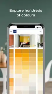 Dulux Visualizer IN Screenshot 4