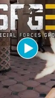 Special Forces Group 3 Screenshot 1